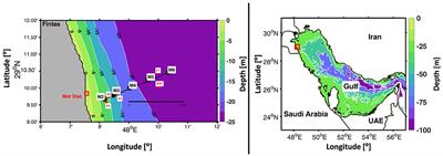 Internal Waves on the Continental Shelf of the Northwestern Arabian Gulf